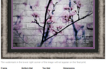 Grunge Cherry Blossoms Over White Brick Wall