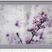 Grunge Cherry Blossoms Over Grey Concrete Wall