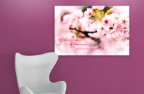 Cherry Blossoms in Spring with Inspirational Quote